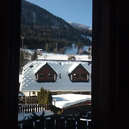 Rododendro タルヴィージオ